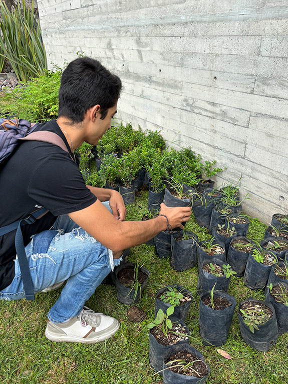 Plantando Vida: Adopción Verde en el Campus