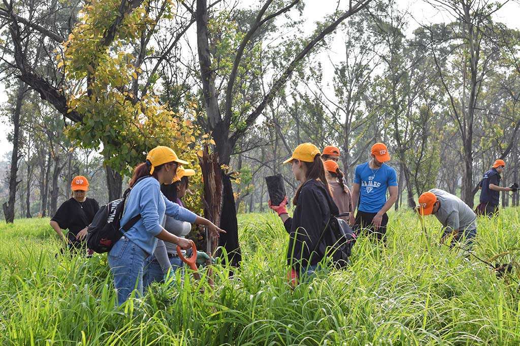 150 árboles plantados en la sexta Reforestación Universitaria